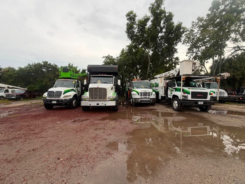Commercial fleet detailing